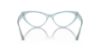 Picture of Jimmy Choo Eyeglasses JC3005