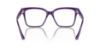 Picture of Jimmy Choo Eyeglasses JC3006U