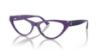 Picture of Jimmy Choo Eyeglasses JC3005