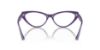 Picture of Jimmy Choo Eyeglasses JC3005