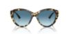 Picture of Jimmy Choo Sunglasses JC5007F