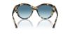 Picture of Jimmy Choo Sunglasses JC5007