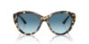 Picture of Jimmy Choo Sunglasses JC5007