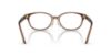 Picture of Swarovski Eyeglasses SK2040D
