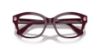 Picture of Swarovski Eyeglasses SK2038F