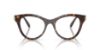 Picture of Swarovski Eyeglasses SK2036