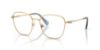 Picture of Swarovski Eyeglasses SK1019