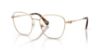 Picture of Swarovski Eyeglasses SK1019
