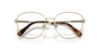 Picture of Swarovski Eyeglasses SK1019