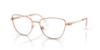 Picture of Swarovski Eyeglasses SK1018