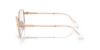Picture of Swarovski Eyeglasses SK1018