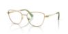 Picture of Swarovski Eyeglasses SK1018
