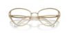Picture of Swarovski Eyeglasses SK1017
