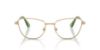 Picture of Swarovski Eyeglasses SK1018