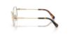 Picture of Swarovski Eyeglasses SK1018