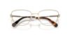 Picture of Swarovski Eyeglasses SK1018