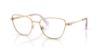 Picture of Swarovski Eyeglasses SK1018