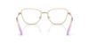 Picture of Swarovski Eyeglasses SK1018