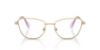 Picture of Swarovski Eyeglasses SK1018
