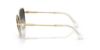 Picture of Swarovski Sunglasses SK7029