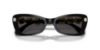 Picture of Swarovski Sunglasses SK6033