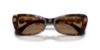 Picture of Swarovski Sunglasses SK6033