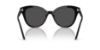 Picture of Swarovski Sunglasses SK6031F
