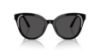 Picture of Swarovski Sunglasses SK6031F