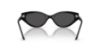 Picture of Swarovski Sunglasses SK6030F