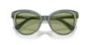 Picture of Swarovski Sunglasses SK6031