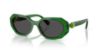Picture of Swarovski Sunglasses SK6028