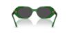 Picture of Swarovski Sunglasses SK6028