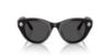 Picture of Swarovski Sunglasses SK6025