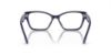 Picture of Swarovski Eyeglasses SK2013