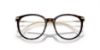 Picture of Swarovski Eyeglasses SK2009