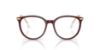 Picture of Swarovski Eyeglasses SK2009