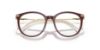 Picture of Swarovski Eyeglasses SK2009