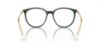 Picture of Swarovski Eyeglasses SK2009