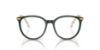Picture of Swarovski Eyeglasses SK2009