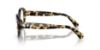 Picture of Swarovski Eyeglasses SK2006