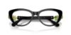 Picture of Swarovski Eyeglasses SK2005