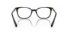 Picture of Swarovski Eyeglasses SK2003F