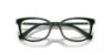 Picture of Swarovski Eyeglasses SK2003F
