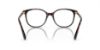 Picture of Swarovski Eyeglasses SK2002