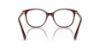 Picture of Swarovski Eyeglasses SK2002