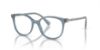 Picture of Swarovski Eyeglasses SK2002