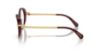 Picture of Swarovski Eyeglasses SK2001