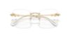 Picture of Swarovski Eyeglasses SK1014