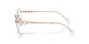 Picture of Swarovski Eyeglasses SK1014