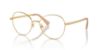 Picture of Swarovski Eyeglasses SK1013